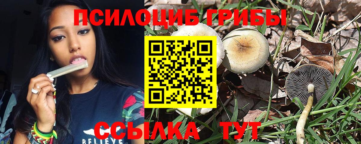 Псилоцибиновые грибы Magic Shrooms Владикавказ