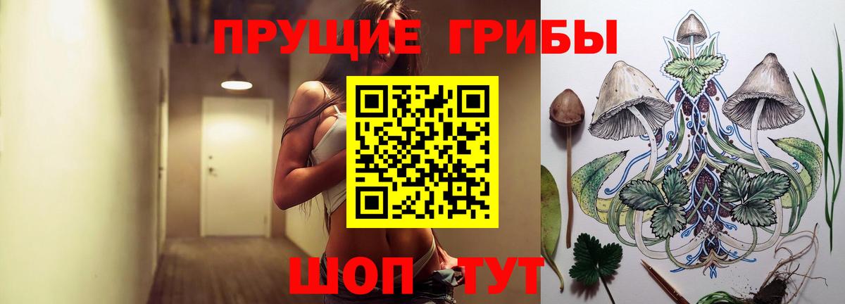 Владикавказ  Галлюциногенные грибы Cubensis  Вход с VPN 